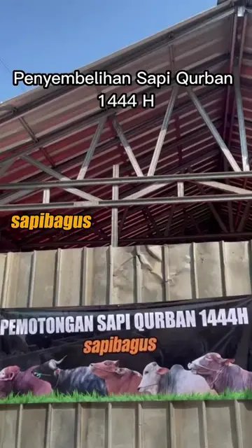 Penyembelihan-Sapi-Qurban-2023